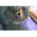 Банная печь Ферингер Ламель Оптима до 23 м³ Жадеит перенесенный рисунок